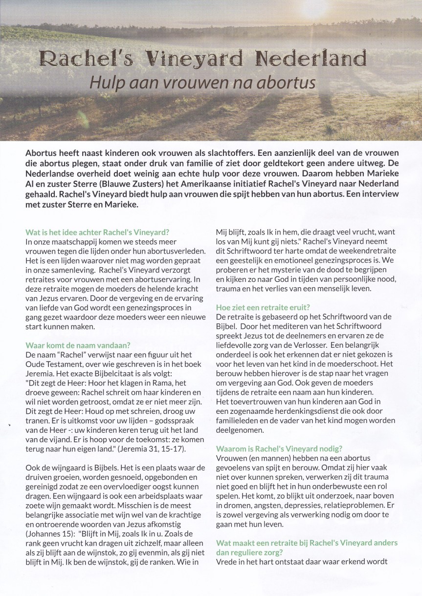 Rachels Vineyard Nederland 1